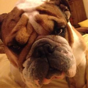 Meet your Posher, Sue